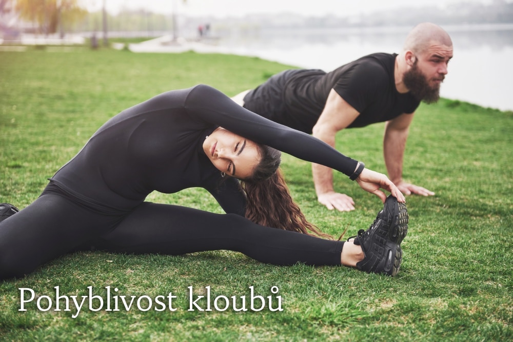 pohyblivost kloubů